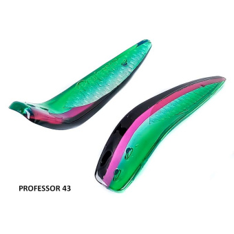 PROFESSOR 43 (2)