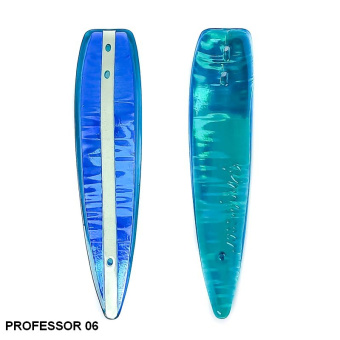 PROFESSOR 06 (1)