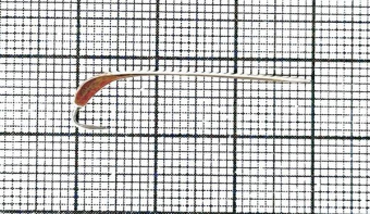 Блесна зубаринно-наважья 30мм (розовое каро-мельхиор) (Проф.)