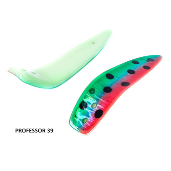 PROFESSOR 39 (2)