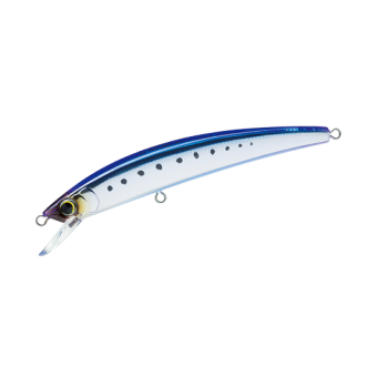 R1129-HIW