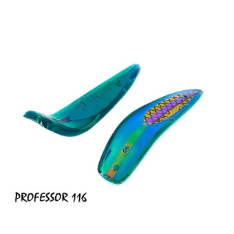 PROFESSOR 116 (2)