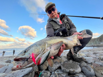 725d2d45bd16cb1106228ff929848ddc