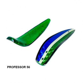 PROFESSOR 56