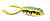 Лягушка SPRO Bronze Eye King Daddy #15 Leopard 12651