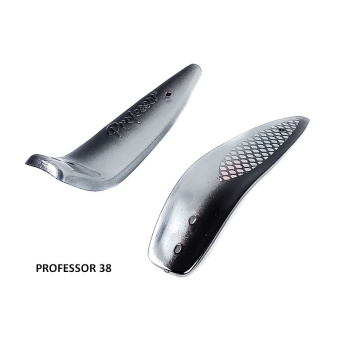PROFESSOR 38 (2)