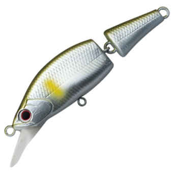 bt_mal_51