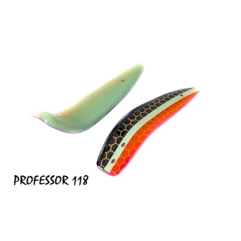 PROFESSOR 118 (2)