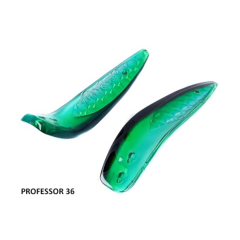 PROFESSOR 36 (2)