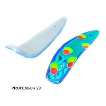 PROFESSOR 29 (2)