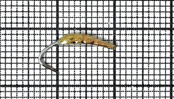 Блесна махалочная Гусеница P (10мм) (латунь)