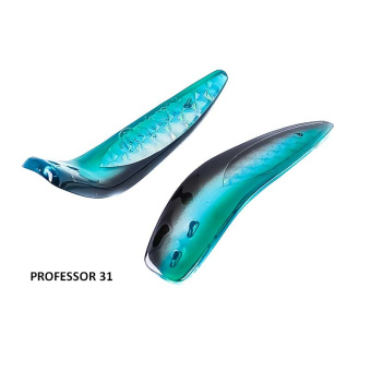 PROFESSOR 31 (2)