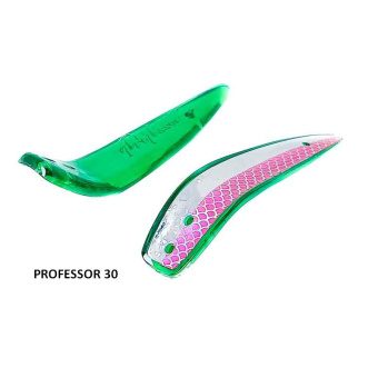 PROFESSOR 30 (2)