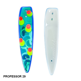 PROFESSOR 29 (1)