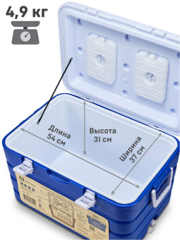 60l blue (1)