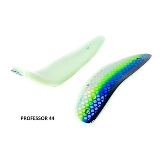 PROFESSOR 44 (2)