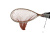 MARUSHIN Highlander Wood Landing Net For Sakura-Masu 2 MARUSHIN Highlander Wood Landing Net For Sakura-Masu 2