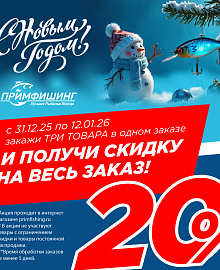 Акция Новый год 2026