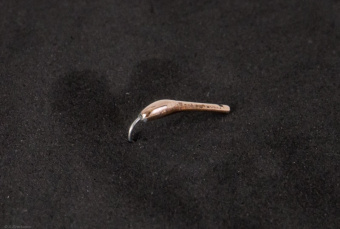 SV-12 10MM