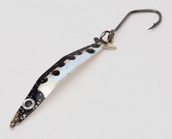 coho 815