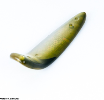 Salmon killer L1 (1)