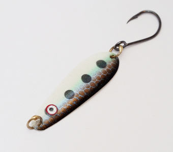 Sardine