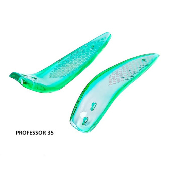 PROFESSOR 35 (2)