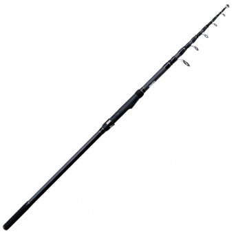 Tele Bigfish Carp