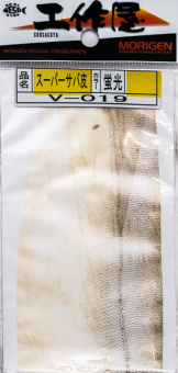 V-019
